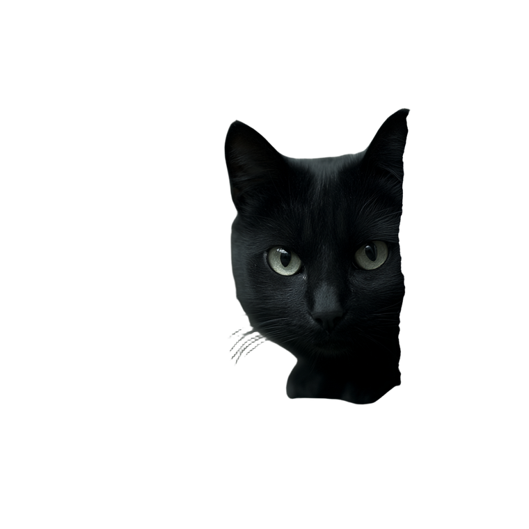 Cat V171 Vinyl Car Decal Sticker – Waterproof & UV-Resistant 3.4133333333333336"