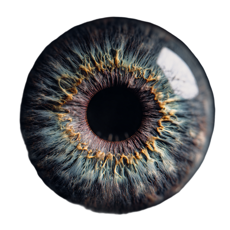 Human Eye Iris V2 Vinyl Car Decal Sticker – Waterproof & UV-Resistant 3.4133333333333336"