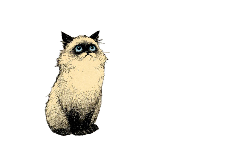 Melancholy Cat Vinyl Car Decal Sticker – Waterproof & UV-Resistant 6.1866666666666665"