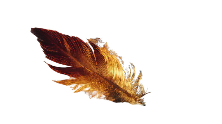 Flaming Phoenix Feather Vinyl Car Decal Sticker – Waterproof & UV-Resistant 5.4