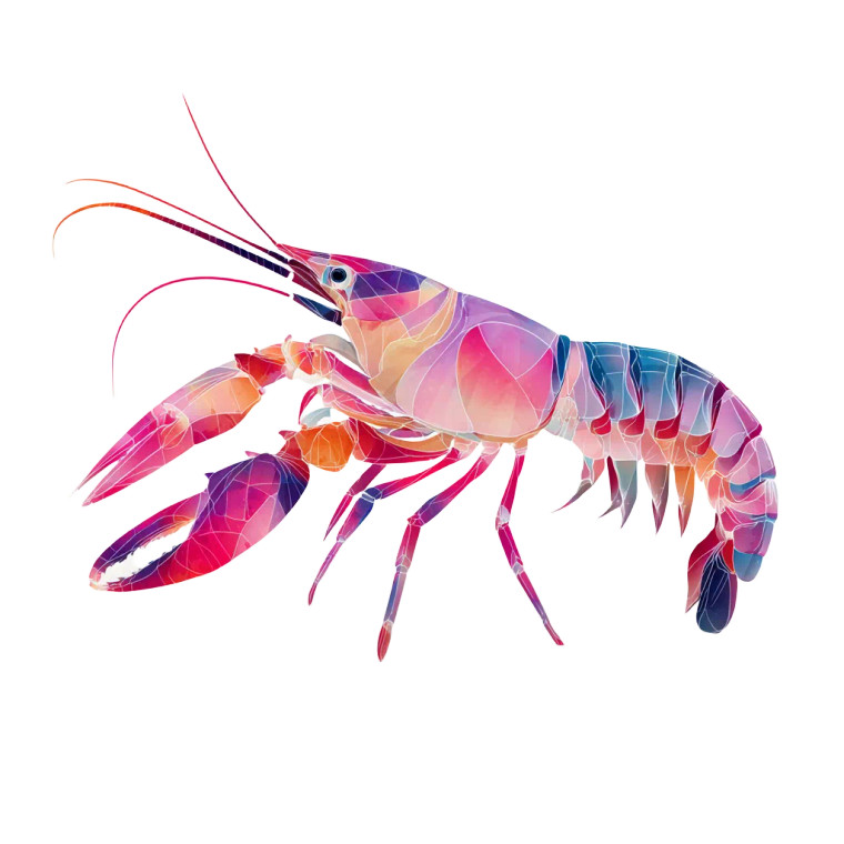 Delicate Crayfish Vinyl Car Decal Sticker – Waterproof & UV-Resistant 3.4133333333333336"