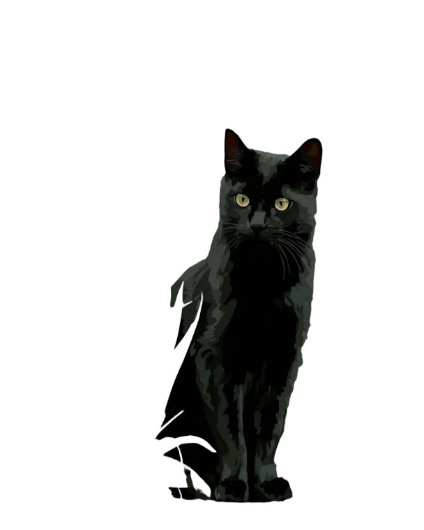 Black Cat Spring V2 Vinyl Car Decal Sticker – Waterproof & UV-Resistant 8.0"