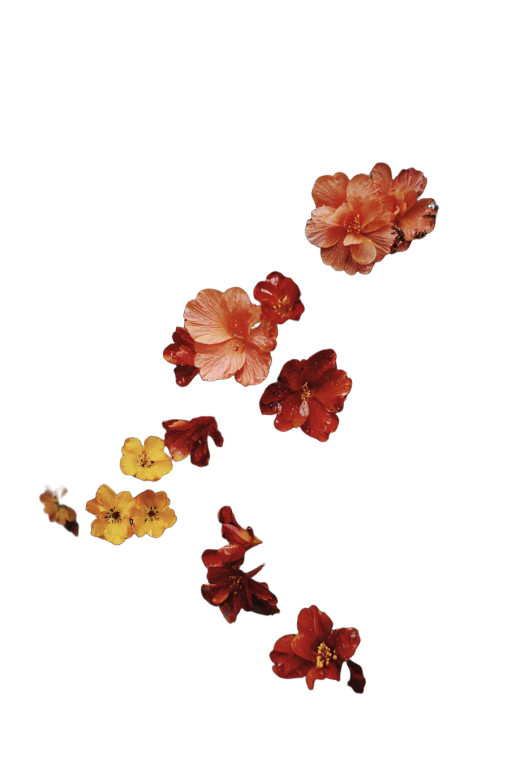 Summer Flora Vinyl Car Decal Sticker – Waterproof & UV-Resistant 4.4