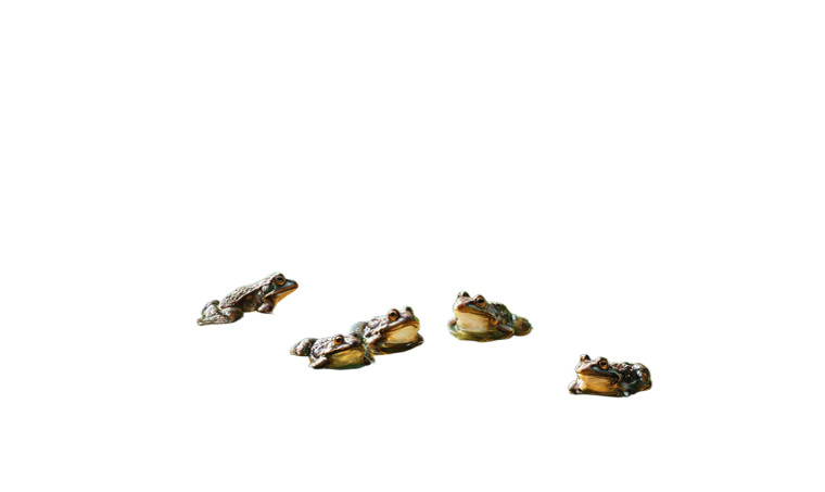 Enchanted Forest Frogs Vinyl Car Decal Sticker – Waterproof & UV-Resistant 5.653333333333333"