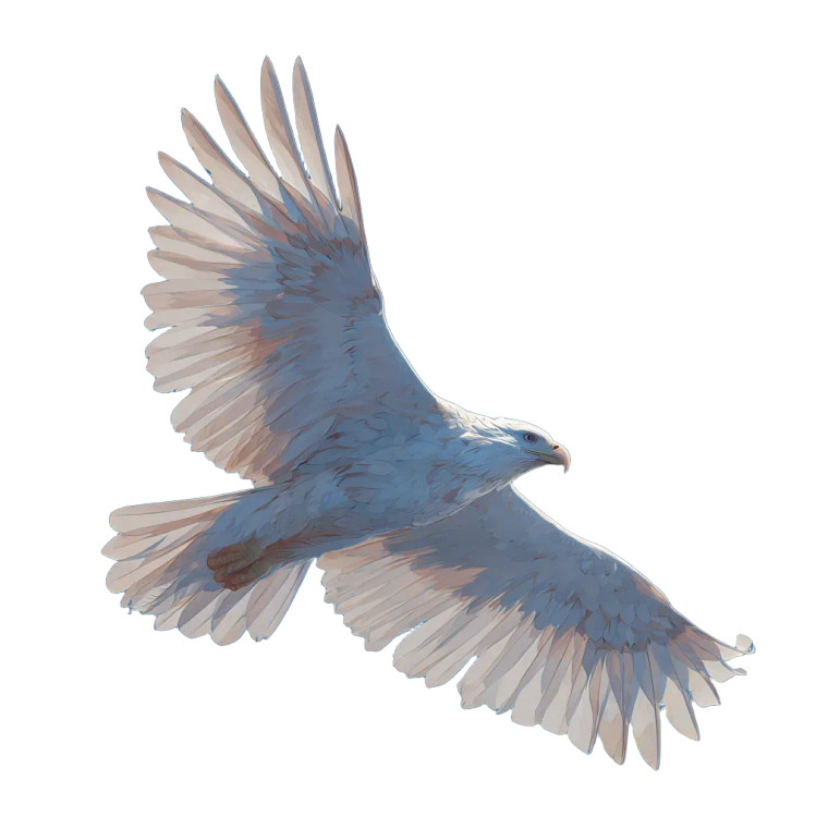 Albino Eagle Flight Vinyl Car Decal Sticker – Waterproof & UV-Resistant 3.4133333333333336"