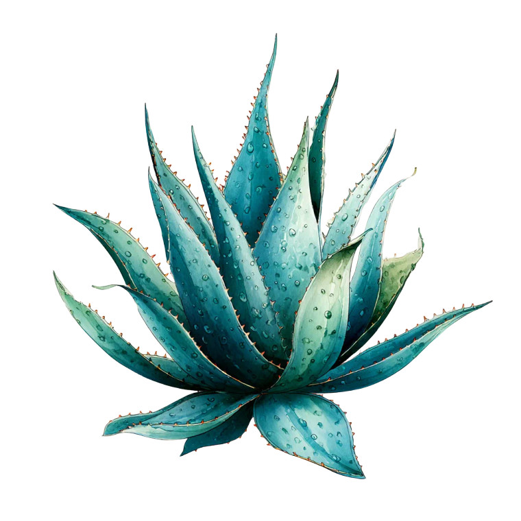 Vibrant Aloe Vera V2 Vinyl Car Decal Sticker – Waterproof & UV-Resistant 6.826666666666667"