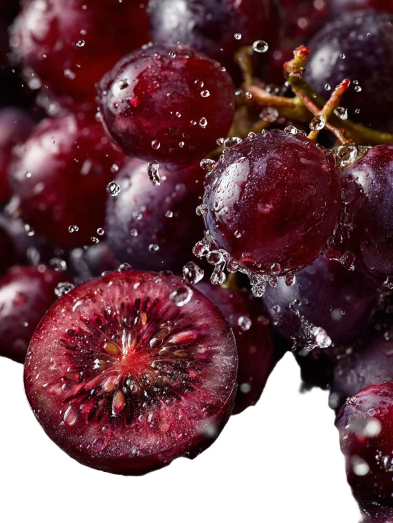 Grapes Cluster Vinyl Car Decal Sticker – Waterproof & UV-Resistant 4.1066666666666665"