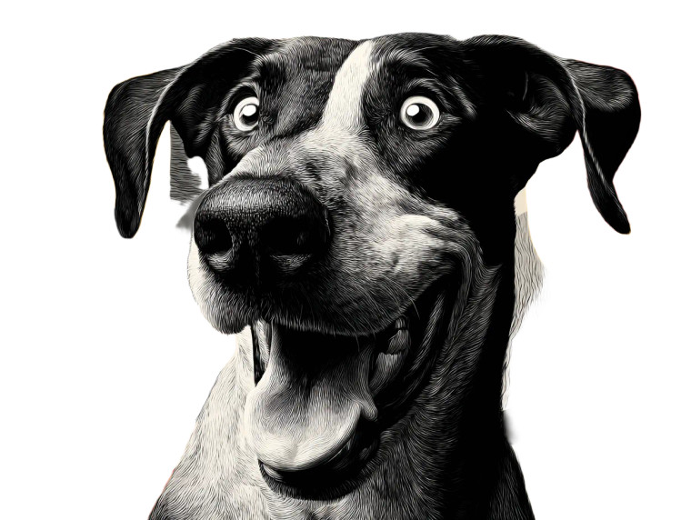 Happy Dog V14 Vinyl Car Decal Sticker – Waterproof & UV-Resistant 6.1866666666666665"