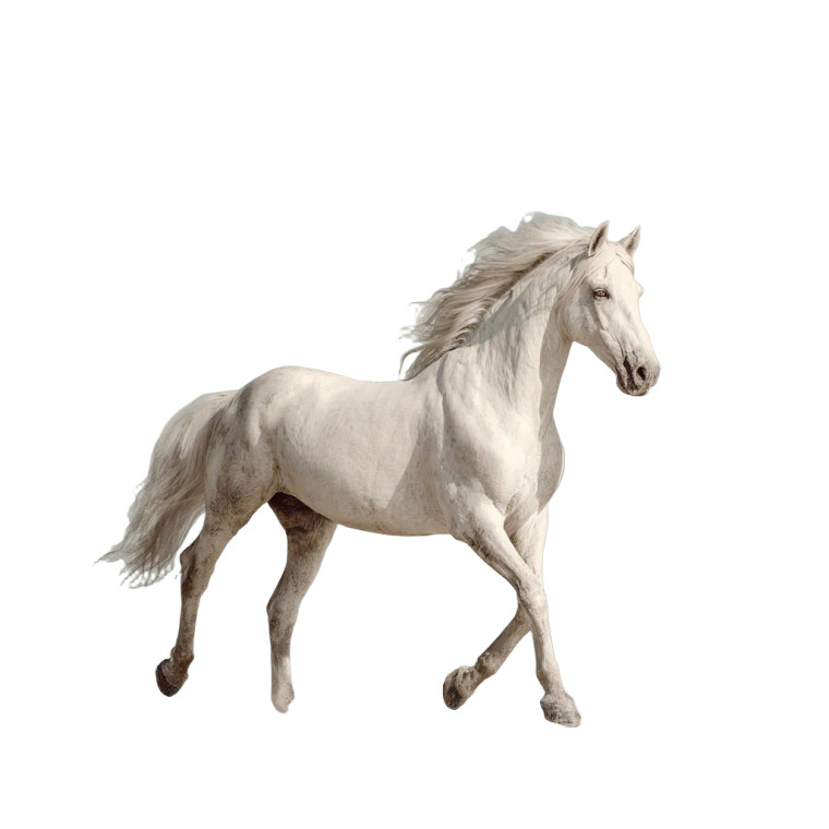 Chrome Horse Vinyl Car Decal Sticker – Waterproof & UV-Resistant 3.4133333333333336"