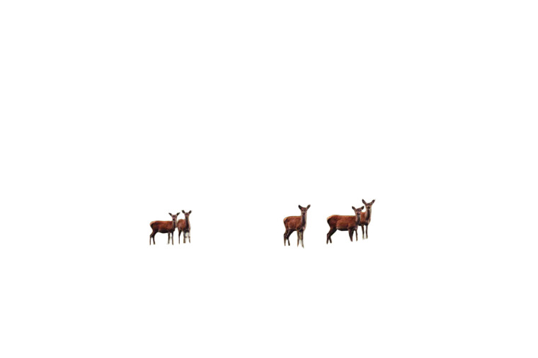 Distant Deer Vinyl Car Decal Sticker – Waterproof & UV-Resistant 2.986666666666667"
