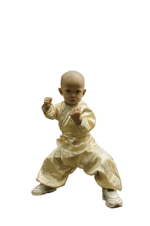Kungfu Baby Vinyl Car Decal Sticker – Waterproof & UV-Resistant 8.96"
