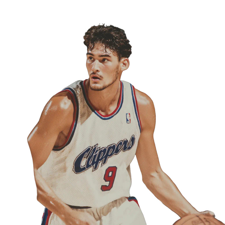 Young Nba Rookie Vinyl Car Decal Sticker – Waterproof & UV-Resistant 3.4133333333333336"