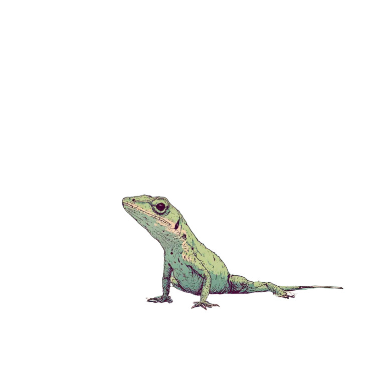 Messenger Lizard Vinyl Car Decal Sticker – Waterproof & UV-Resistant 3.4133333333333336"
