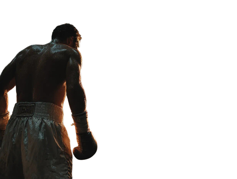 Fighter Silhouette Vinyl Car Decal Sticker – Waterproof & UV-Resistant 6.1866666666666665"