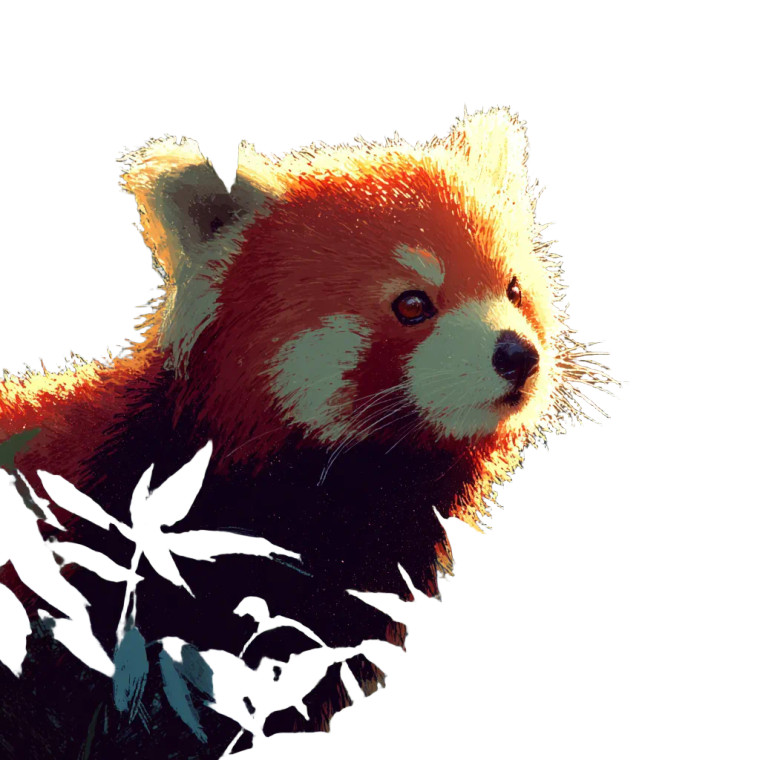 Red Panda Sunshine Vinyl Car Decal Sticker – Waterproof & UV-Resistant 3.4133333333333336"