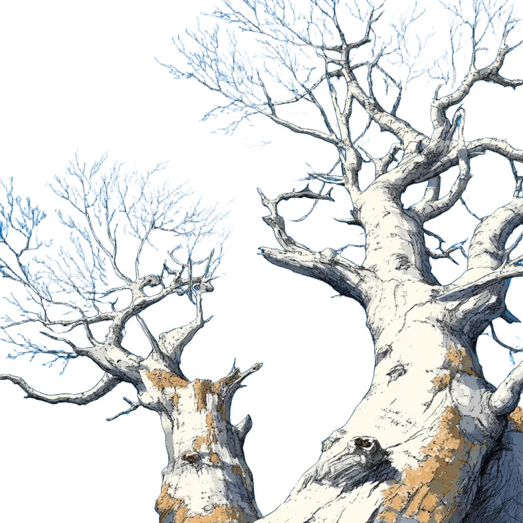 Twisted White Trees Vinyl Car Decal Sticker – Waterproof & UV-Resistant 3.4133333333333336"