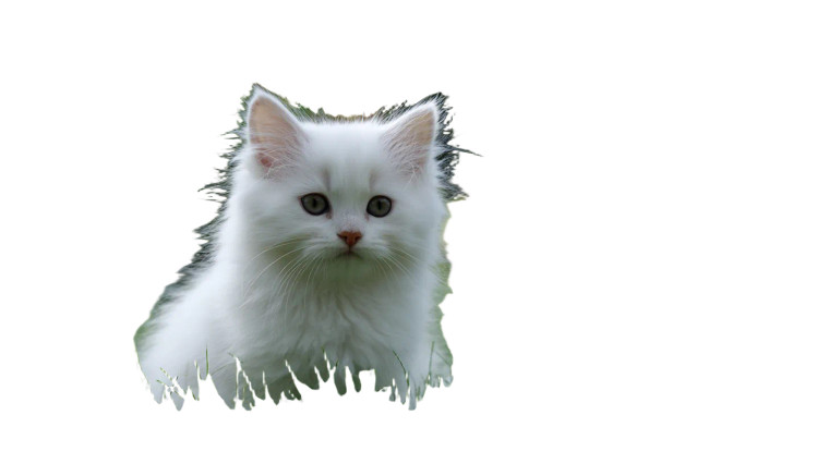 Fluffy Pets Play Vinyl Car Decal Sticker – Waterproof & UV-Resistant 5.4