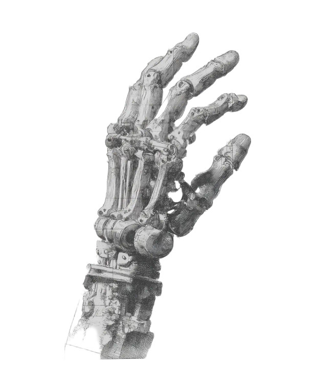 Hand Anatomy Sketch Vinyl Car Decal Sticker – Waterproof & UV-Resistant 4.0"