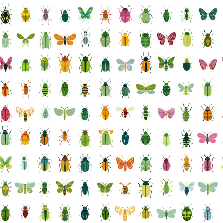 Cartoon Bug Pattern Vinyl Car Decal Sticker – Waterproof & UV-Resistant 6.826666666666667"