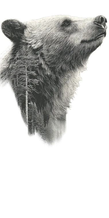 Bear Head Tattoo V2 Vinyl Car Decal Sticker – Waterproof & UV-Resistant 10.2