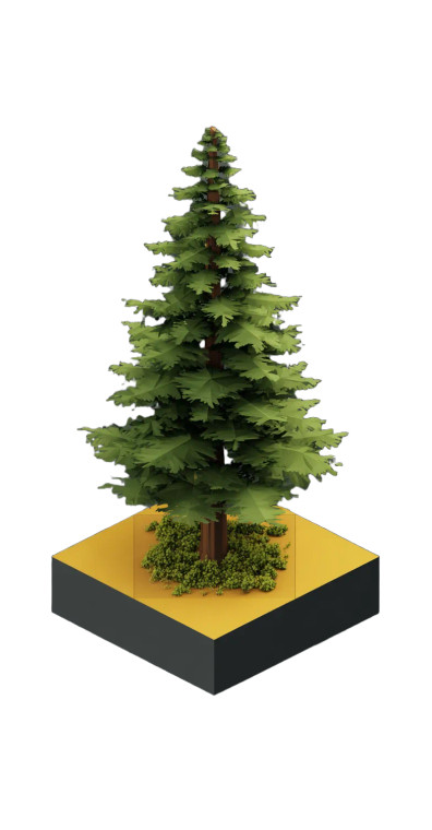 Isometric Pine Tree Vinyl Car Decal Sticker – Waterproof & UV-Resistant 5.01333333333333
