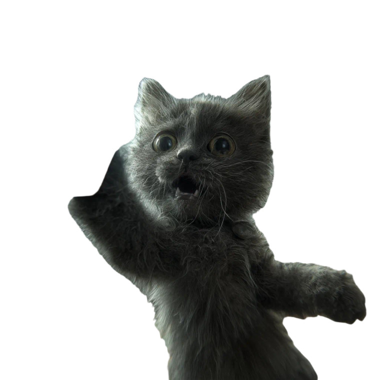 Kitten Haunted Selfie Vinyl Car Decal Sticker – Waterproof & UV-Resistant 3.4133333333333336"