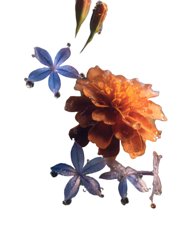 Magical Floral Bloom Vinyl Car Decal Sticker – Waterproof & UV-Resistant 8.0"