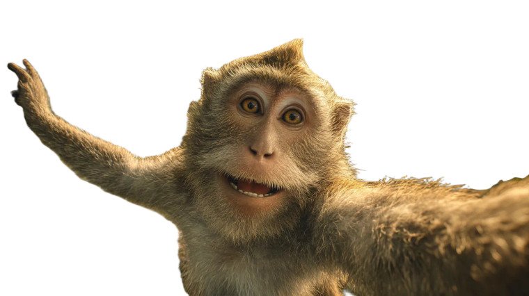 Monkey Selfie Vinyl Car Decal Sticker – Waterproof & UV-Resistant 2.72"