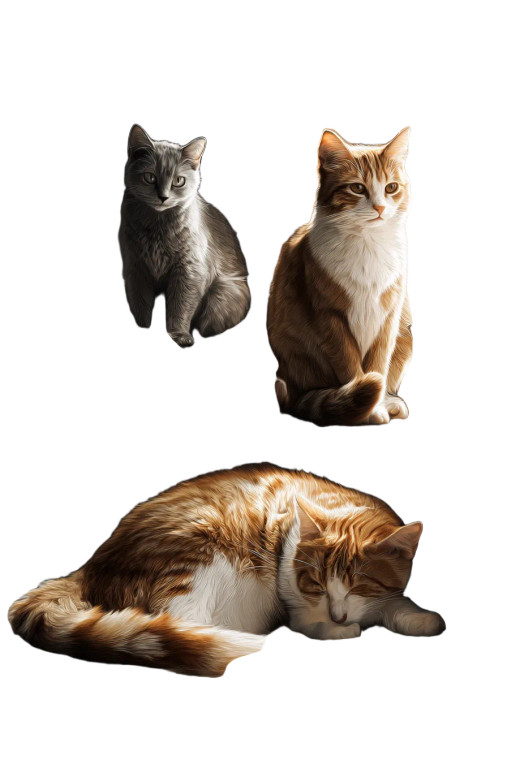 Cozy Cat Living Room Vinyl Car Decal Sticker – Waterproof & UV-Resistant 8.96"