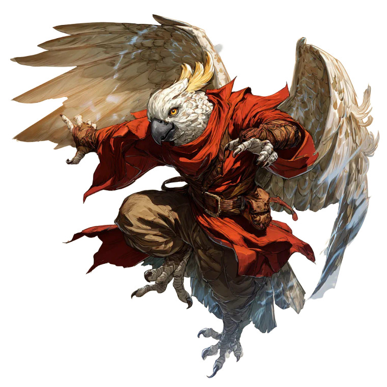 Aarakocra Monk V6 Vinyl Car Decal Sticker – Waterproof & UV-Resistant 6.826666666666667"