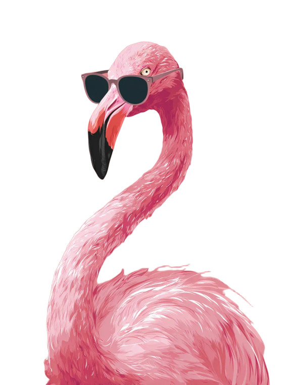 Cool Flamingo Vinyl Car Decal Sticker – Waterproof & UV-Resistant 8.213333333333333"