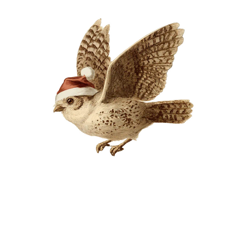 Santa Owl Flying Vinyl Car Decal Sticker – Waterproof & UV-Resistant 3.4133333333333336"