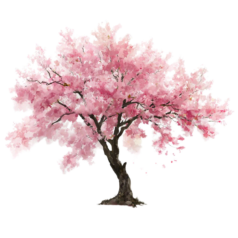 Cherry Blossom Tree V11 Vinyl Car Decal Sticker – Waterproof & UV-Resistant 3.4133333333333336"