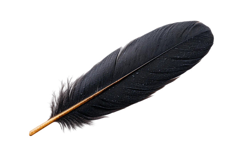 Huia Feather Vinyl Car Decal Sticker – Waterproof & UV-Resistant 5.97333333333333