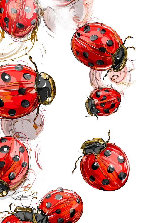 Cartoon Ladybugs Pattern V3 Vinyl Car Decal Sticker – Waterproof & UV-Resistant 8.213333333333333"