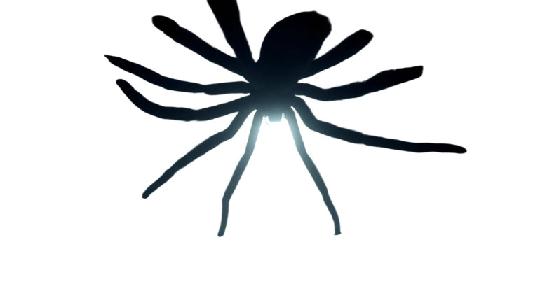 Giant Spider Tunnel Vinyl Car Decal Sticker – Waterproof & UV-Resistant 2.72"