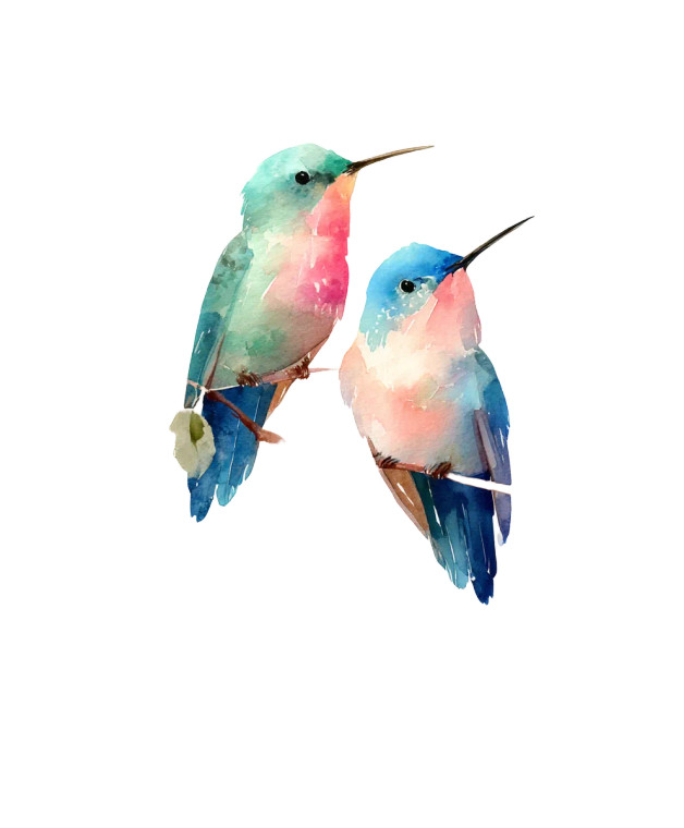 Watercolor Colibris Vinyl Car Decal Sticker – Waterproof & UV-Resistant 8.0"