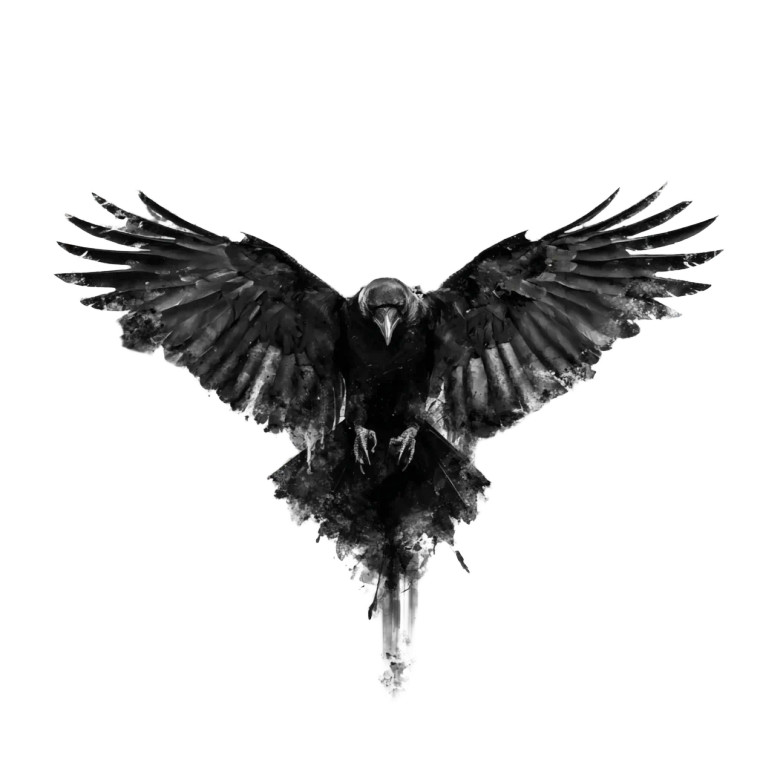 Abstract Crow Art Vinyl Car Decal Sticker – Waterproof & UV-Resistant 3.4133333333333336"