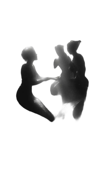 Dual-Tailed Mermaids Vinyl Car Decal Sticker – Waterproof & UV-Resistant 4.8533333333333335"