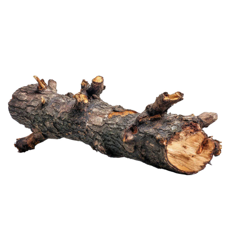 Broken Tree Log Vinyl Car Decal Sticker – Waterproof & UV-Resistant 3.4133333333333336"