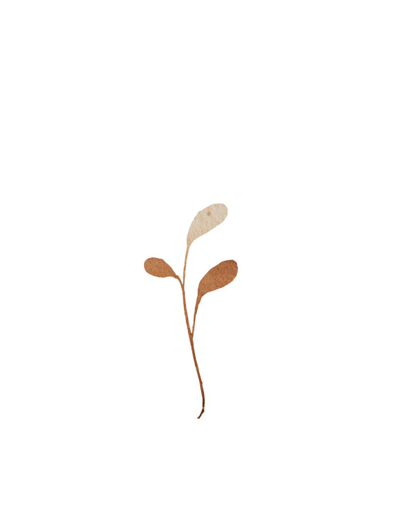Sprouting Plant Silhouette Vinyl Car Decal Sticker – Waterproof & UV-Resistant 4.1066666666666665"