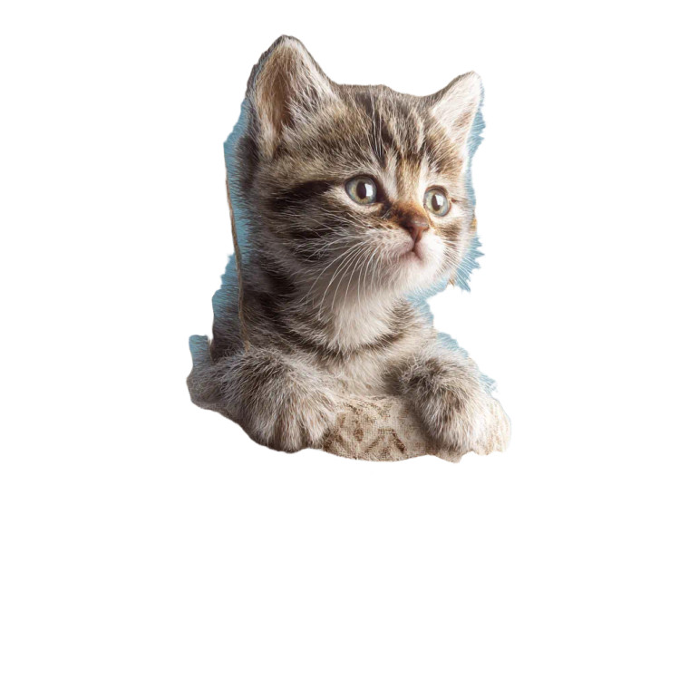 Kitten Balloon Vinyl Car Decal Sticker – Waterproof & UV-Resistant 3.4133333333333336"