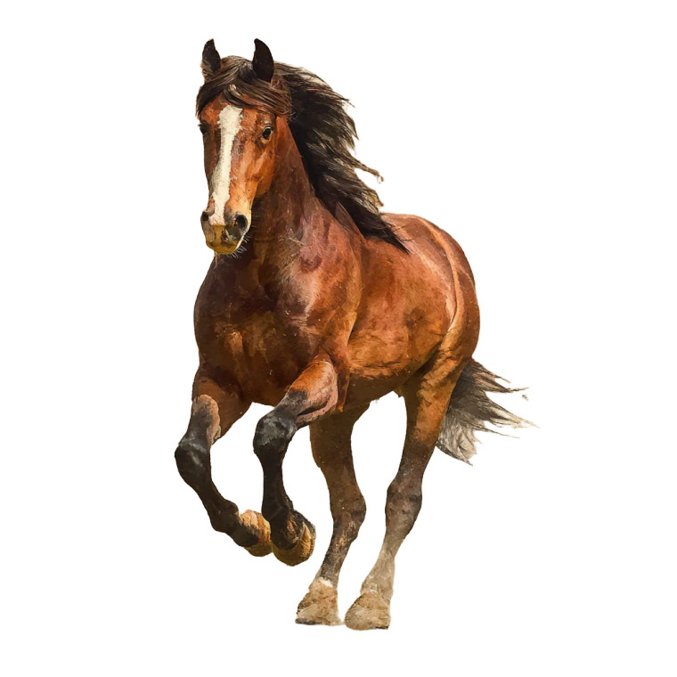 Brown Horse Galloping Vinyl Car Decal Sticker – Waterproof & UV-Resistant 3.4133333333333336"