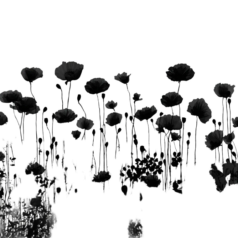 Floral Silhouettes Vinyl Car Decal Sticker – Waterproof & UV-Resistant 3.4133333333333336"