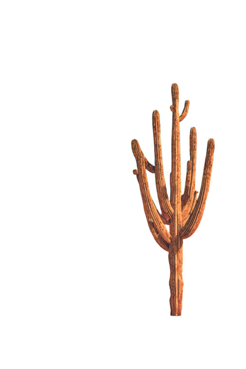 Lone Desert Cactus Vinyl Car Decal Sticker – Waterproof & UV-Resistant 4.4