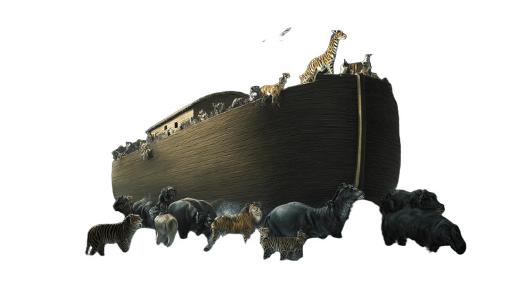 Noah'S Ark V4 Vinyl Car Decal Sticker – Waterproof & UV-Resistant 5.4