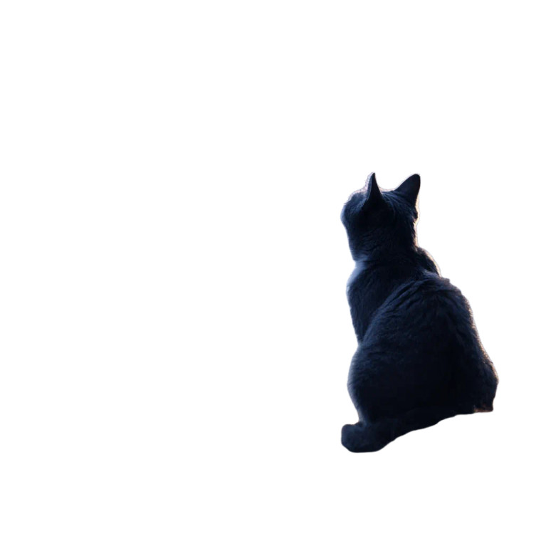 Stargazing Cat V2 Vinyl Car Decal Sticker – Waterproof & UV-Resistant 3.4133333333333336"
