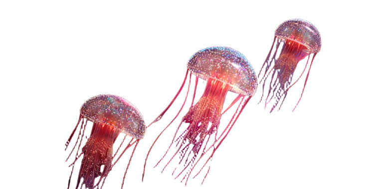 Sparkling Jellyfish Reef Vinyl Car Decal Sticker – Waterproof & UV-Resistant 5.12"