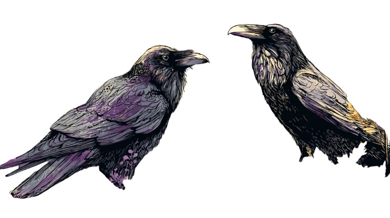 Gothic Black Raven Vinyl Car Decal Sticker – Waterproof & UV-Resistant 2.72"
