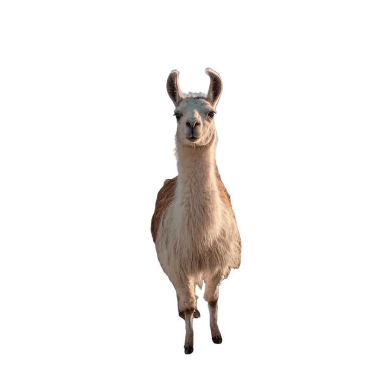 Desert Llama Vinyl Car Decal Sticker – Waterproof & UV-Resistant 3.4133333333333336"